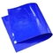 PE Materiële Cleanroom Gebruiksesd Kleverige Matten 30 Lagen Blauw