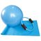 TPR-Ballen 65cm van de Yogamassage van de de VOORAVONDpp Gymnastiek van Bloksporten de Stabiliteitsbal